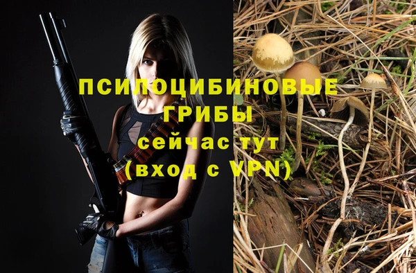 герыч Надым