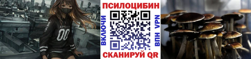 Псилоцибиновые грибы ЛСД  Купить закладки  Циолковский 